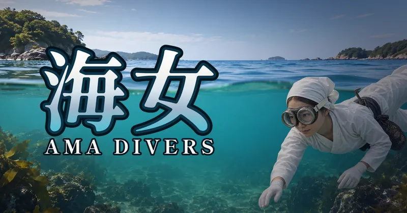 海女的遊戲封面