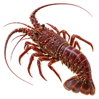 伊勢海老