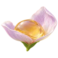 花蜜