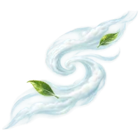 渡りの風
