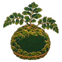 苔玉