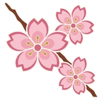 櫻