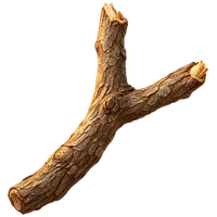小枝