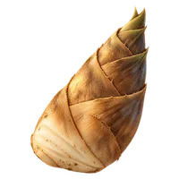 筍