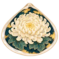 菊花貝