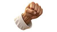 拳