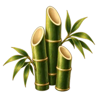 竹