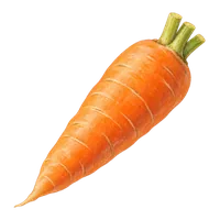 胡蘿蔔
