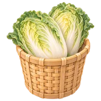 白菜籮