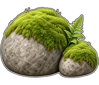 苔石