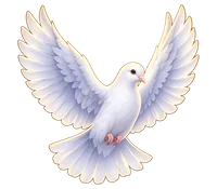 白鳩