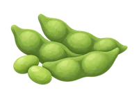 枝豆
