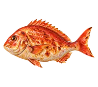 鯛