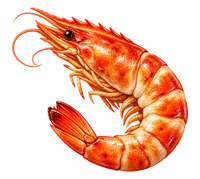 海老