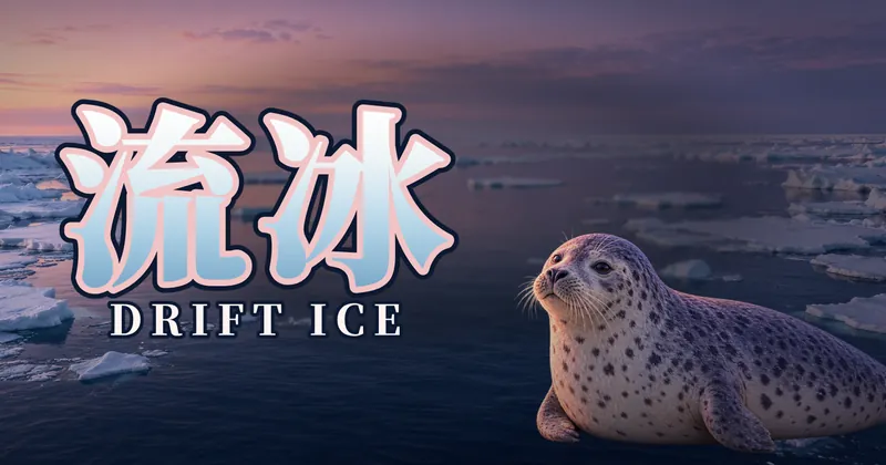 流冰的遊戲封面
