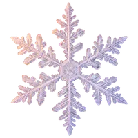 雪片