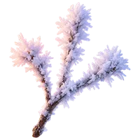 霧氷