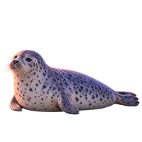 斑海豹