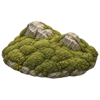 苔島