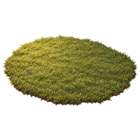 芝
