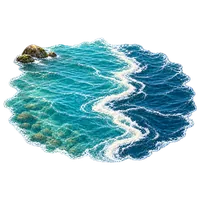河口の潮目
