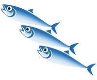 魚