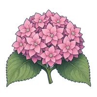 紫陽花・桃