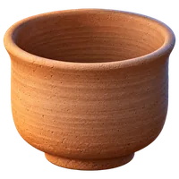 素坯